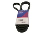 Gm V-ribbed Serpen (SLP-P1) 12588408 New Oem. Fixed Price $30.31.