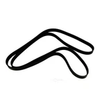Acdelco 12630513 V Ribbed Serpentine Belt. Fixed Price $42.05.