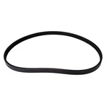Continental Contitech 4040379S Poly V-belt. Fixed Price $33.35.