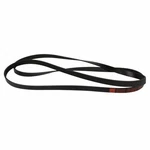 Serpentine Belt Motorcraft JK6-1029-A Fits 07-08 Ford Mustang 4.6L-V8. Fixed Price $52.63.