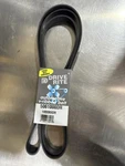 Drive Rite By Dayco 5061000DR Serpentine Belt-cng 1000K6DR. Fixed Price $12.50.