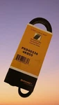 PK040336 4PK855 Continental Serpentine Belt. Fixed Price $12.50.