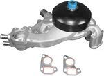 Acdelco Professional 252-901 Engine Water Pump Free Shipping Us. Fixed Price $150.00.