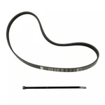 Genuine Ford V Belt BR3Z-8620-Q. Fixed Price $32.63.