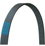 Serpentine Belt Dayco 5080335. Fixed Price $18.00.