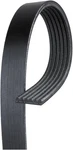 Acdelco Gold 6K956 Standard V-ribbed Serpentine Belt. Fixed Price $34.39.