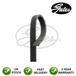 Gates V-ribbed Belts Fits Ford Mondeo S-max Galaxy #5853. Fixed Price $52.36.