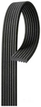 Serpentine Belt. Fixed Price $168.99.