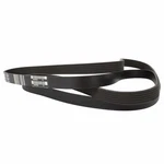 Serpentine Belt Motorcraft JK6-847-B Fits 11-14 Ford Mustang 5.8L-V8. Fixed Price $42.00.
