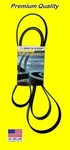 Dunlop K061031 / 6PK2618 Premium Serpentine Drive Belt 1997-2008 Ford F-150. Fixed Price $19.99.
