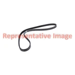 For Nissan Maxima 2013 Motorcraft JK4532B V-belt. Fixed Price $32.22.