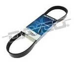 Dayco Belt For Subaru Liberty 2009 - On 2.5L 4CYL 16V Sohc Mpfi Br Eng. EJ253. Fixed Price $48.29.