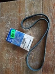 Gm 12576745 2001-07 Chevy Silverado 2500 Ac Serpentine Belt Nos Oem. Fixed Price $18.00.