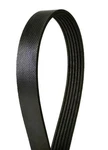 Serpentine Belt Continental Elite 4061388. Fixed Price $19.00.