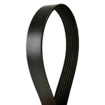 For Buick Lacrosse 2018-2019 Continental Contitech Serpentine Belt. Fixed Price $26.75.