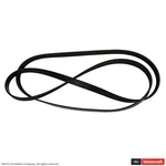 Motorcraft JK6-844-C Serpentine Belt. Fixed Price $28.00.