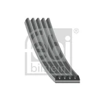 Febi Bilstein 28882 V-ribbed Belt For Audi Kia Vw. Fixed Price $26.24.