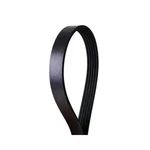 Serpentine Belt-multi-v Continental Elite 4050617. Fixed Price $41.50.
