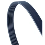 For Contitech 6PK2315 V-ribbed Belts. Fixed Price $39.77.
