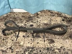 Oem Freightliner 01-27116-004 Drive Belt 8 Rib, Epdm, Poly, 2170 Mm Nos. Fixed Price $29.49.
