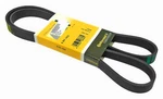 Continental Alternator Water Pump Drive Belt For Bmw 2006-2010 M5 E60 M6 E63 E64. Fixed Price $57.40.