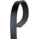 Acdelco 6K390 V Ribbed Serpentine Belt. Fixed Price $53.98.