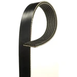Acdelco 6K916A Professional Serpentine Belt V Ribbed, Standard. Fixed Price $73.97.