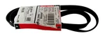 Genuine Ford 5M6Z-8620-A Serpentine Belt 5M6Z8620A. Fixed Price $33.63.