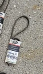Gates K040460 Serpentine Micro V Belt. Fixed Price $11.00.