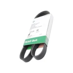 Ina Ribbed Drive Belt Fits Audi Honda Lada Seat Skoda Vw FB6PK1113. Fixed Price $17.67.