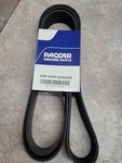 D84-1000-6102220 Oem Paccar Rib Poly V-belt 2220MM. Fixed Price $99.99.
