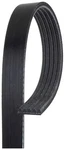 Acdelco Standard V-ribbed Serpentine Belt 5K450. Fixed Price $22.21.