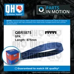 Rib Multi Drive Belt QBR5875 Quinton Hazell 31110PK2003 31110PK2004 MB813806. Fixed Price $16.16.