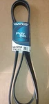 Dayco Belt 5070950. Fixed Price $31.99.