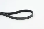 V-ribbed Belt Continental Ctam 6PK1100. Fixed Price $19.82.