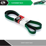 2000 - 2002 9200I Sba Serpentine Belt Fleetrunner Heavy Duty Gates. Fixed Price $78.44.