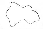New Oem Gm Serpentine Drive Belt 12577771 Chevy Malibu Pontiac G6 Aura 2006-2010. Fixed Price $28.95.