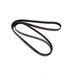 Serpentine Belt-multi-v Fvp 405K6. Fixed Price $19.99.