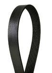 For Toyota Camry 2014 Continental Contitech 4060452 Serpentine Belt. Fixed Price $23.50.