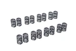 Tomei Valve Spring Set For Nissan CA18DET. Fixed Price $190.00.