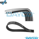 Vribbed Belt 4PK845 For Nissan Primera/hatchback/traveller Almera/tino/ii Bmw. Fixed Price $22.63.