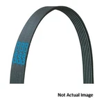 Dayco 5040323DR Ribbed, Drive Rite Traditional. Fixed Price $25.57.
