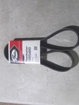 Serpentine Belt-fleetrunner Heavy Duty Micro-v Gates K080560HD. Fixed Price $35.00.