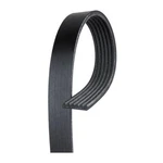 Genuine Acdelco For Oldsmobile Cutlass Cruiser 1992 V-ribbed Serpentine Belt. Fixed Price $64.23.
