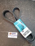 Fleetrite 1847720C1 Serpetine Belt. Fixed Price $20.00.