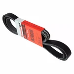 Genuine Ford Serpentine Belt F1VY-8620-C. Fixed Price $6.60.