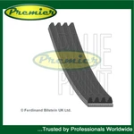 Premier Water Pump Power Steering Belt Fits Micra X-type 1.3 1.4 2.0 D. Fixed Price $14.87.