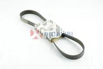 6-RIB Poly-v Alternator Drive Belt Mpn 46462949 Fiat/ Ford/ Honda. Fixed Price $23.98.