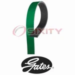 Ford F-250 Super Duty Gates Fleetrunner Micro-v Serpentine Belt 6.0L V8 F8. Fixed Price $55.38.