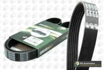 V Ribbed Belt Citroen Jumper Fiat Ducato Ford Escort Fiesta 5750.D9. Fixed Price $36.75.